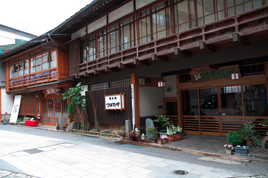 IMGP0244.jpg(385986 byte)