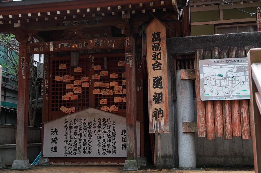 IMGP0249.jpg(369148 byte)