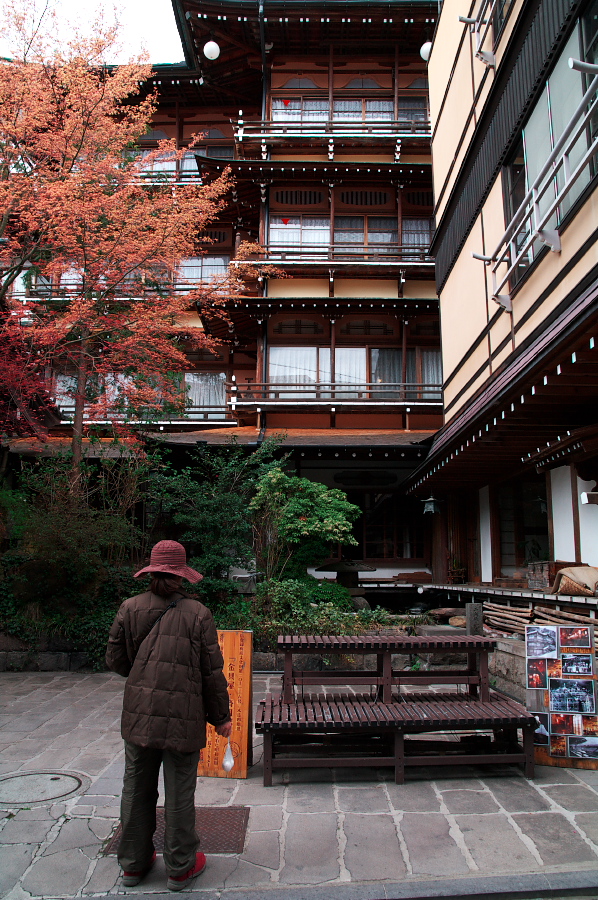 IMGP0262.jpg(500201 byte)