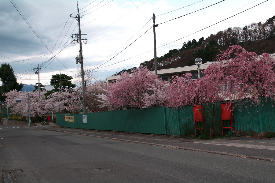 IMGP0292.jpg(362959 byte)