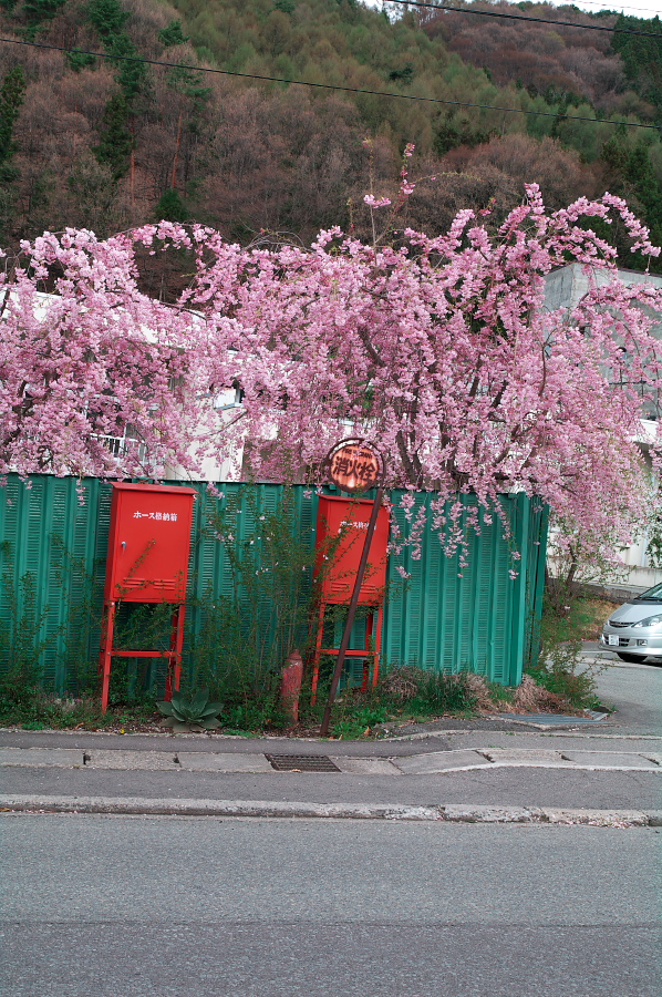 IMGP0294.jpg(549609 byte)