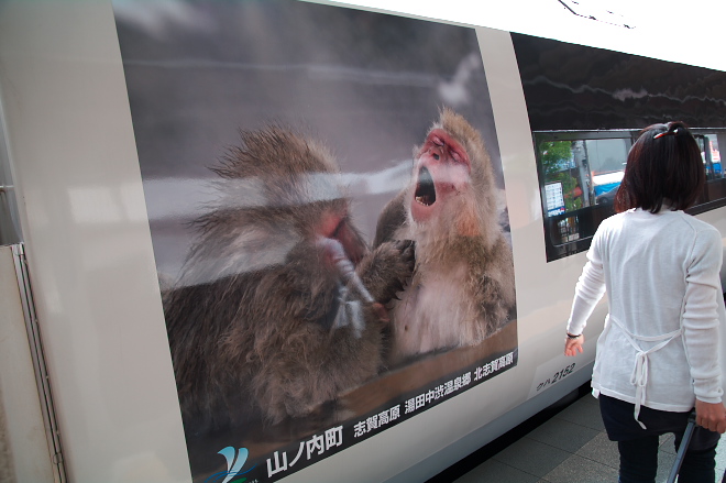 IMGP0014.jpg(148592 byte)