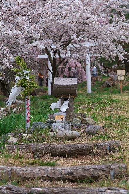 IMGP0025.jpg(314750 byte)