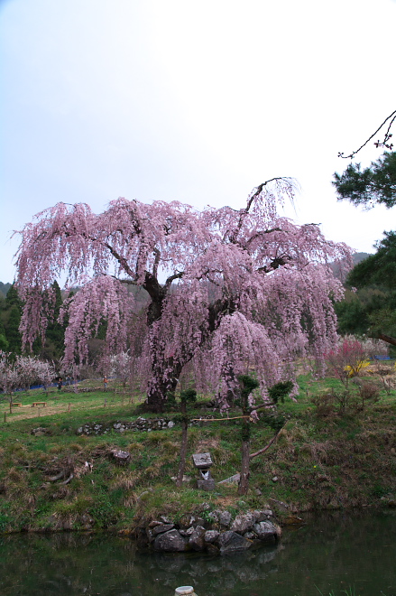 IMGP0033.jpg(216009 byte)