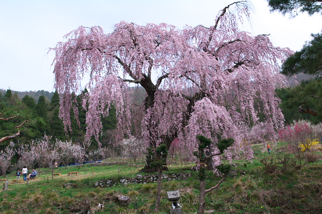 IMGP0041.jpg(297748 byte)