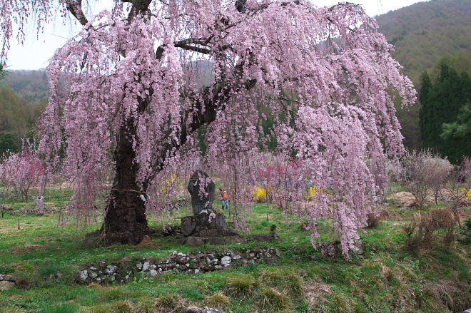 IMGP0044.jpg(335908 byte)