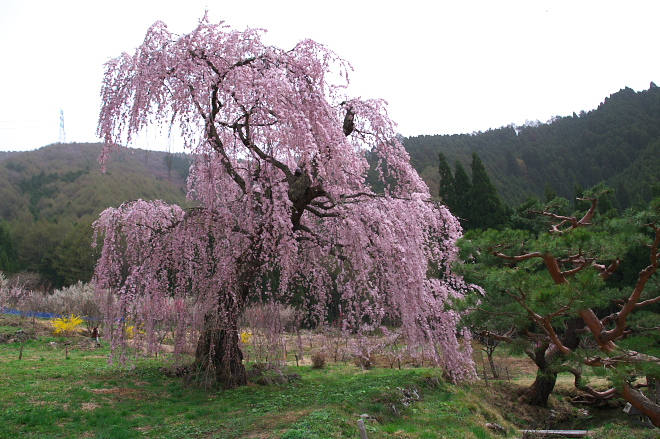 IMGP0053.jpg(255343 byte)