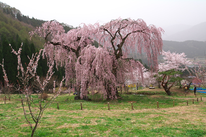 IMGP0056.jpg(283309 byte)