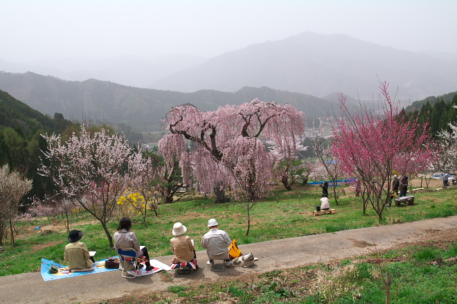 IMGP0081.jpg(237530 byte)