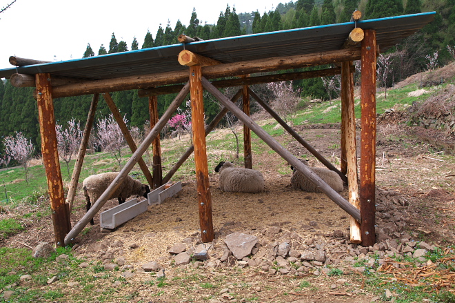 IMGP0121.jpg(306272 byte)