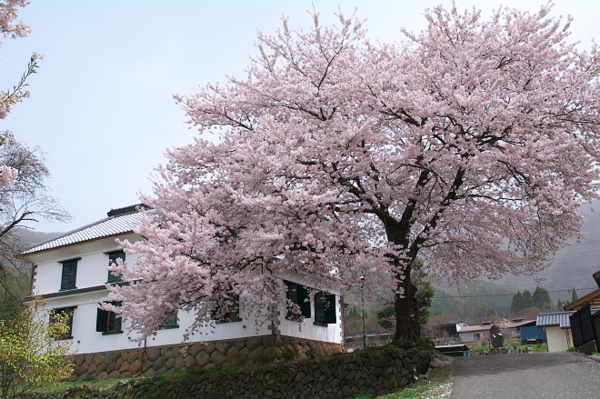 IMGP0127.jpg(269097 byte)