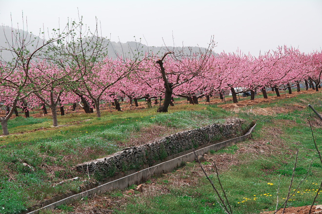 IMGP0134.jpg(298268 byte)