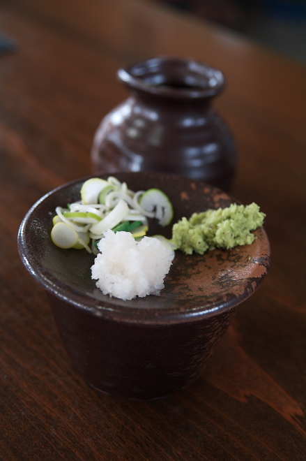 IMGP0141.jpg(120360 byte)