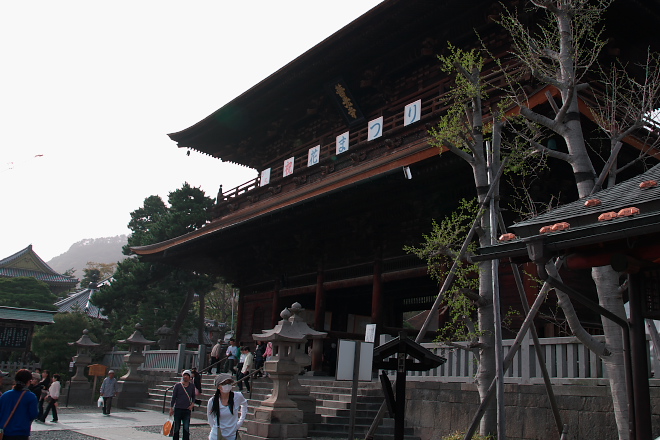 IMGP0162.jpg(187155 byte)