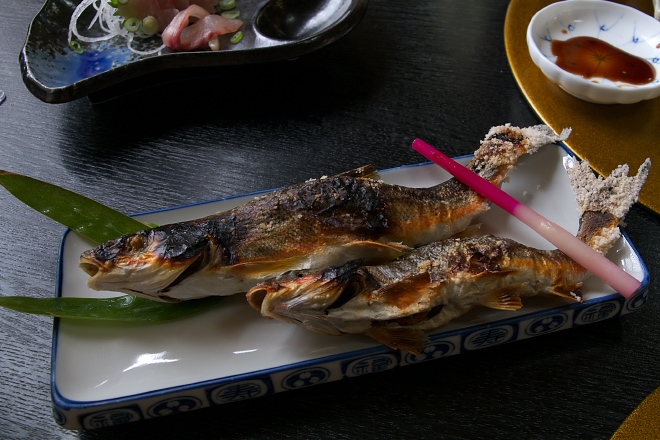 IMGP0030.jpg(203096 byte)