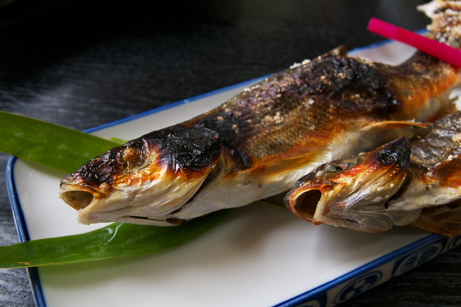 IMGP0032.jpg(164755 byte)