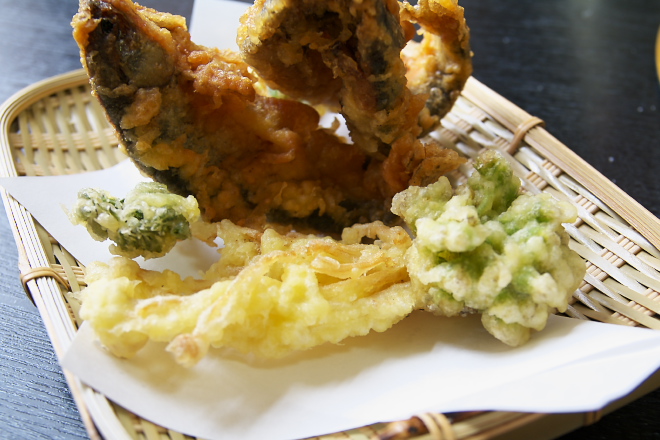 IMGP0043.jpg(191541 byte)