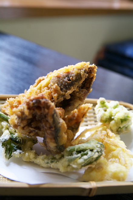 IMGP0044.jpg(148212 byte)