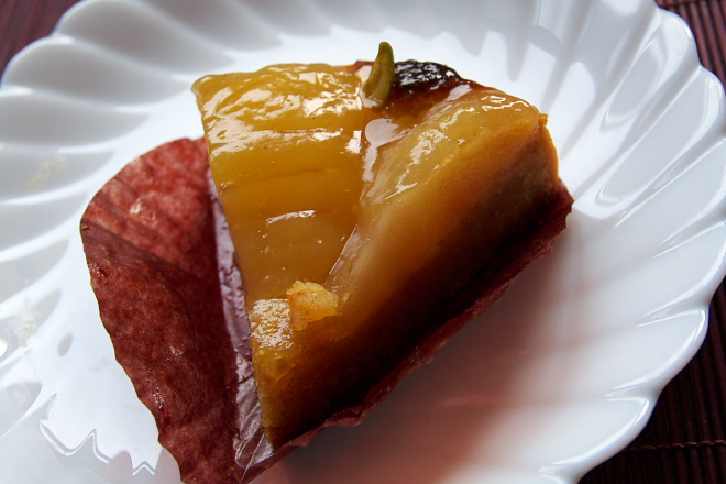 IMGP0009.jpg(155211 byte)