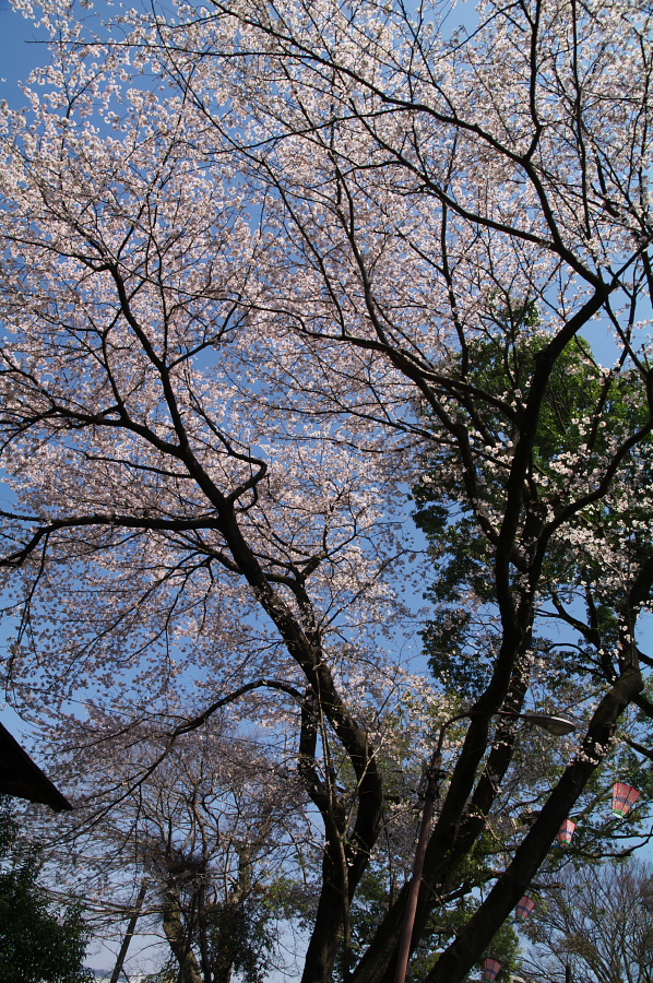 IMGP0020.jpg(700632 byte)