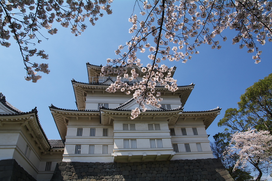 IMGP0038.jpg(436910 byte)