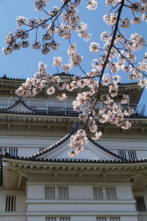 IMGP0043.jpg(380227 byte)