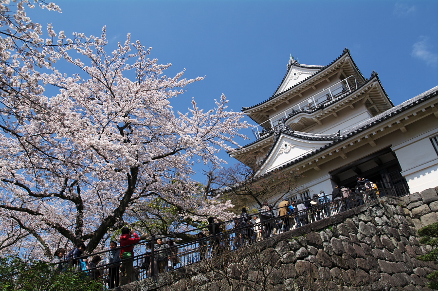 IMGP0051.jpg(526303 byte)