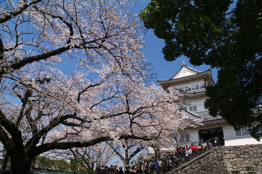 IMGP0079.jpg(613558 byte)