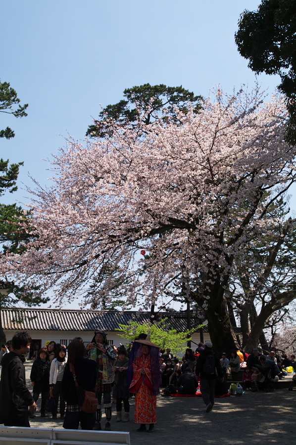 IMGP0086.jpg(478854 byte)