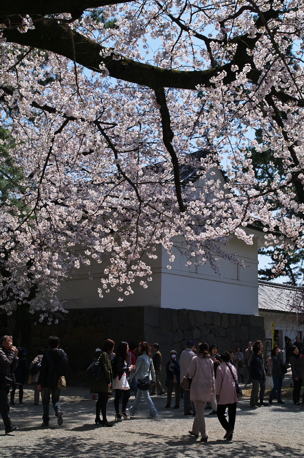 IMGP0090.jpg(557431 byte)