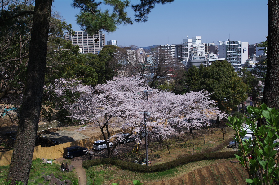 IMGP0094.jpg(494205 byte)