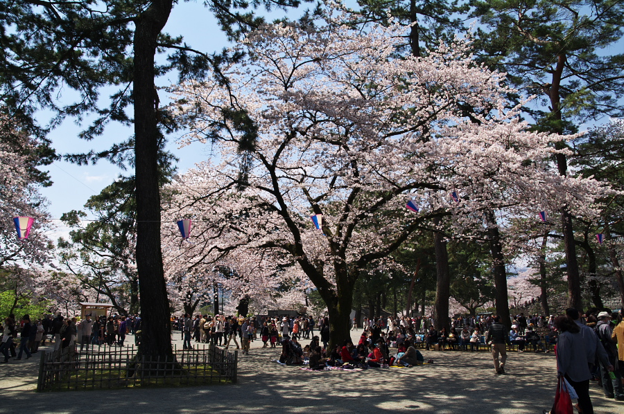 IMGP0097.jpg(619900 byte)