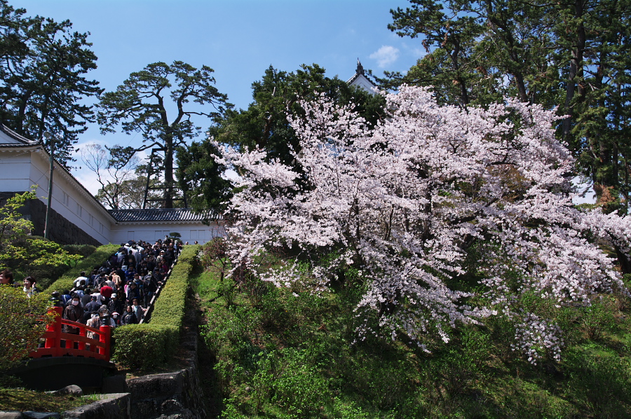 IMGP0099.jpg(590893 byte)