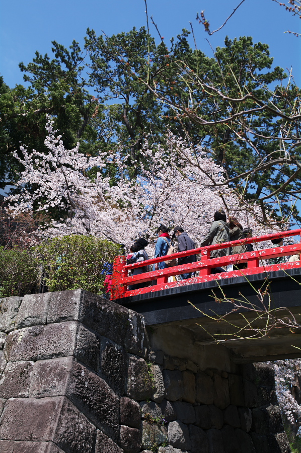 IMGP0111.jpg(548786 byte)