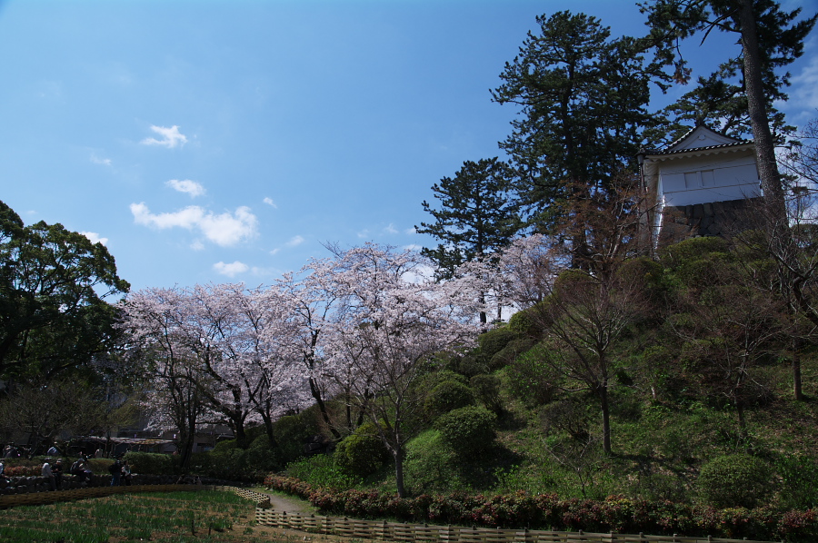 IMGP0116.jpg(426429 byte)