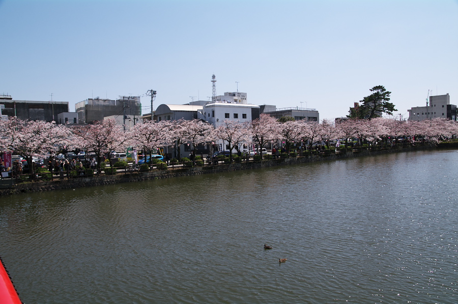 IMGP0137.jpg(325714 byte)