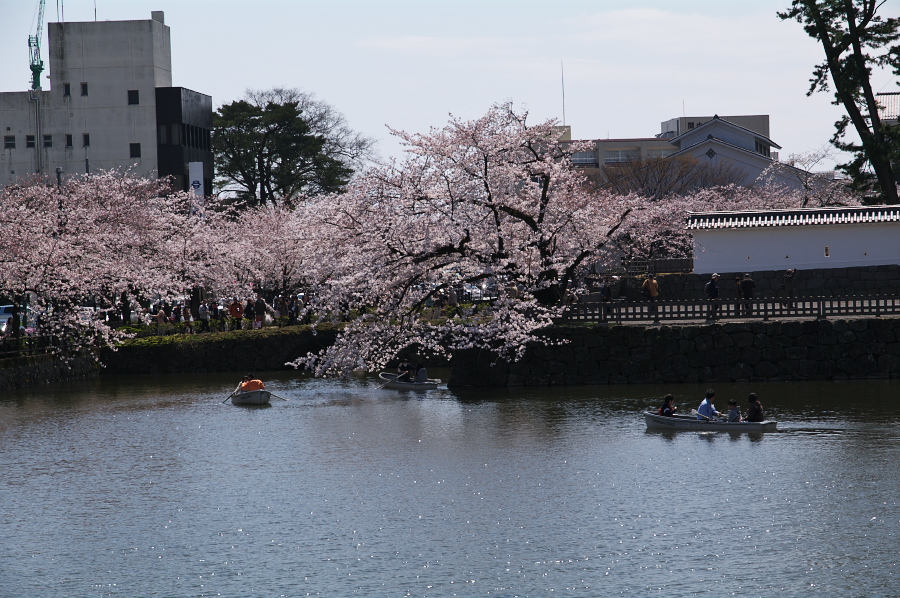 IMGP0139.jpg(393776 byte)