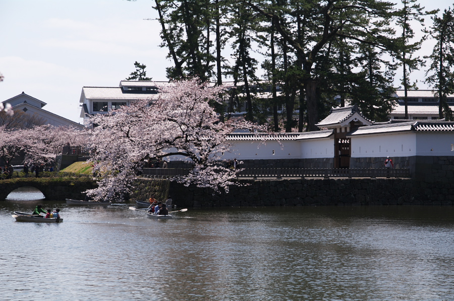 IMGP0145.jpg(434805 byte)