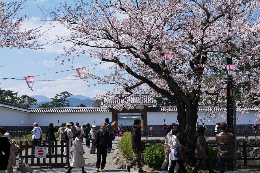 IMGP0151.jpg(558510 byte)