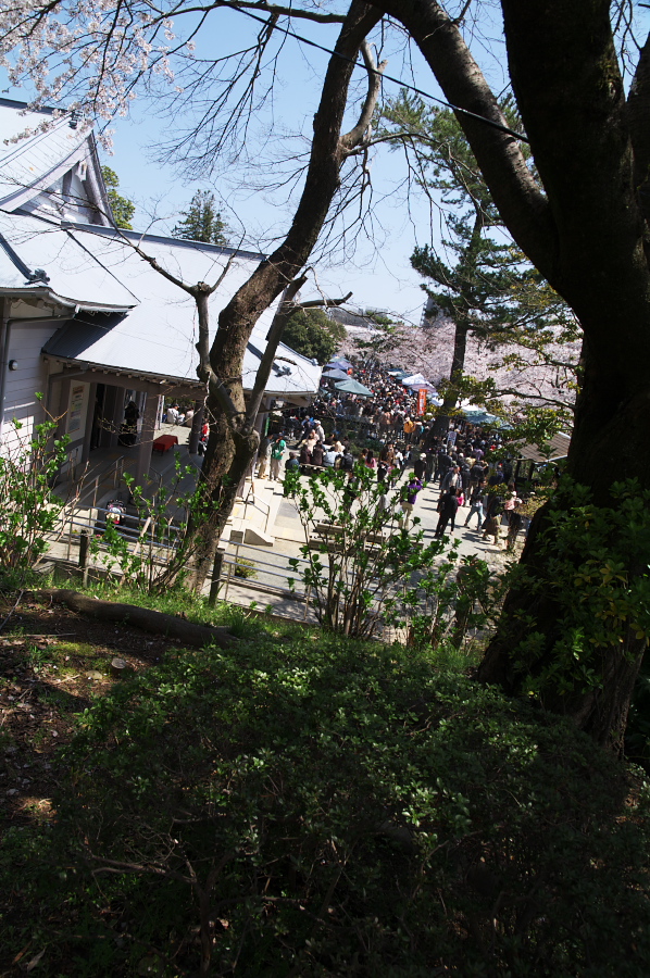 IMGP0118.jpg(483447 byte)