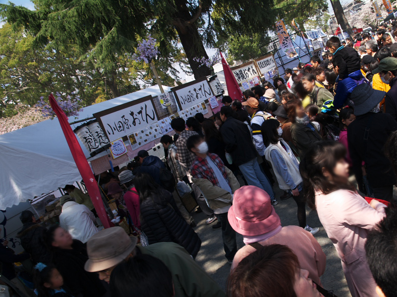 IMGP0121.jpg(366651 byte)