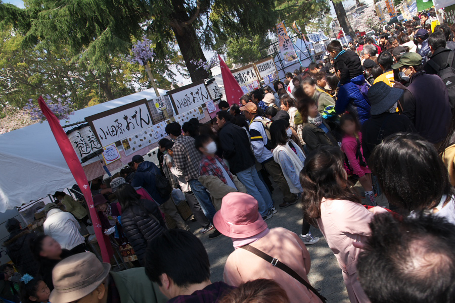 IMGP0123.jpg(421172 byte)