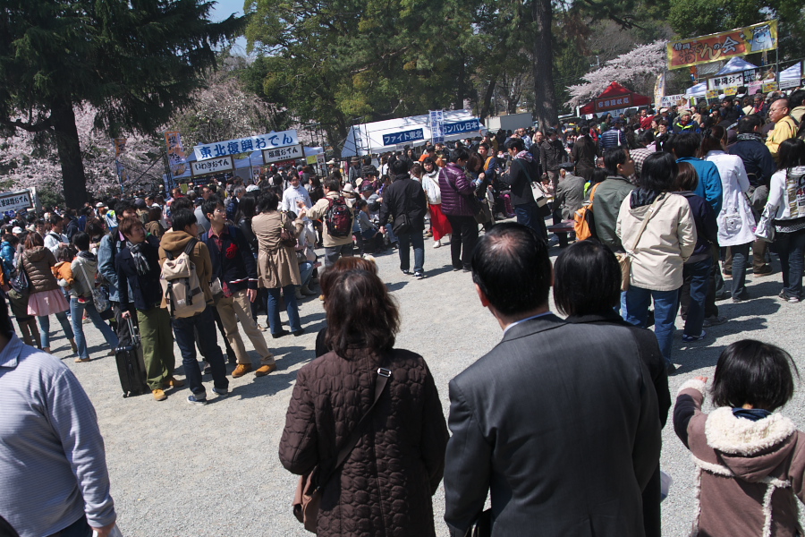 IMGP0135.jpg(434047 byte)