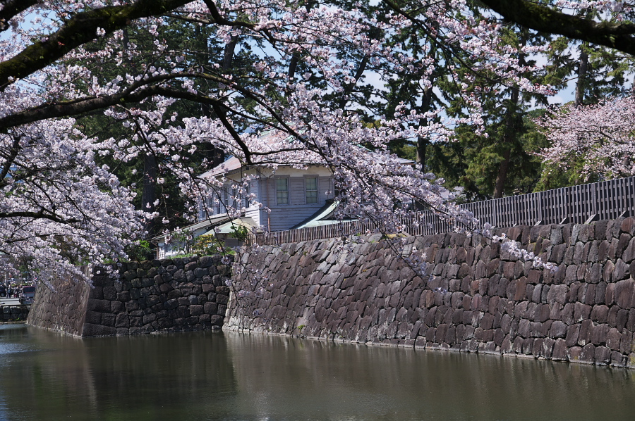 IMGP0157.jpg(531808 byte)