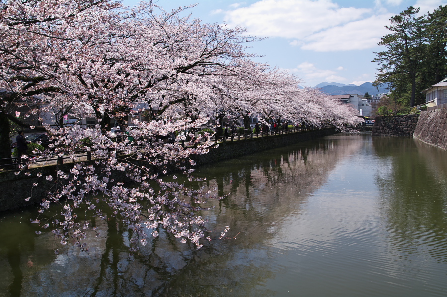 IMGP0161.jpg(466142 byte)