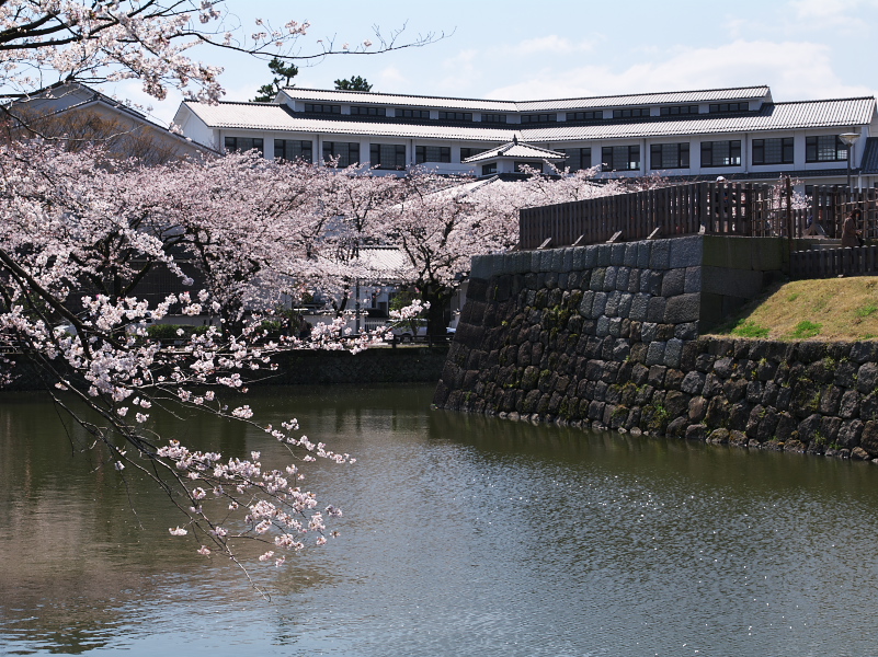 IMGP0165.jpg(424873 byte)