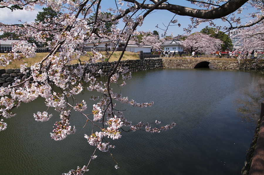 IMGP0167.jpg(471232 byte)