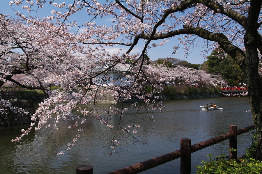 IMGP0180.jpg(538685 byte)