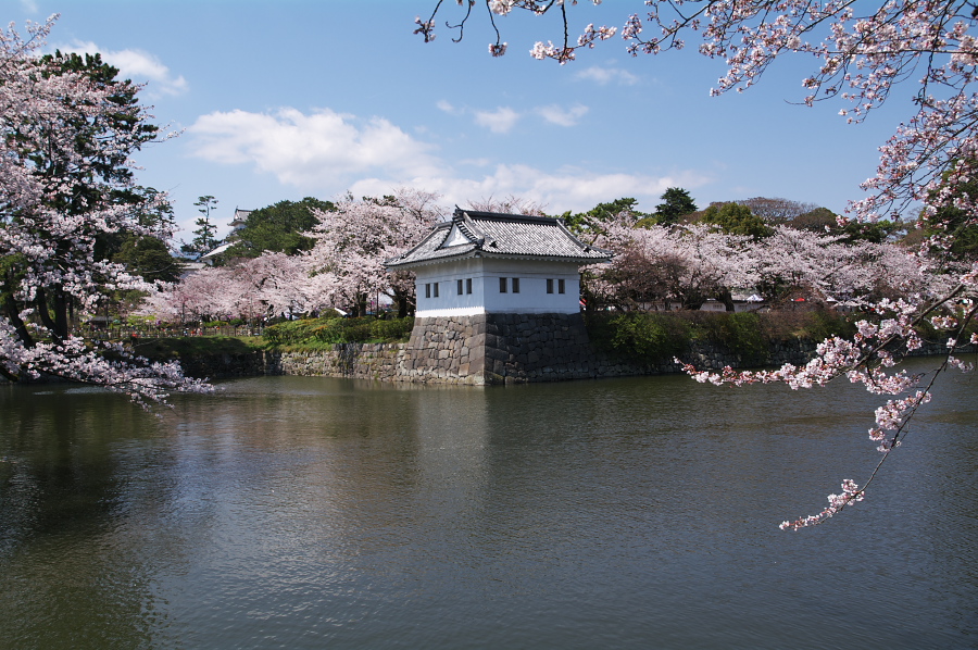 IMGP0182.jpg(420089 byte)