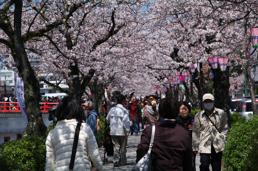 IMGP0188.jpg(509963 byte)